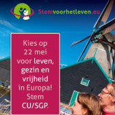 flyer kleine foto